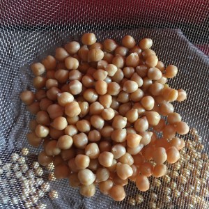 Newlifekarma tutoriel recette pois chiches rôtis