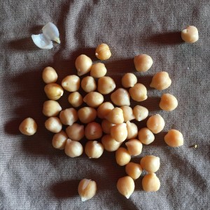 Newlifekarma tutoriel recette vegan